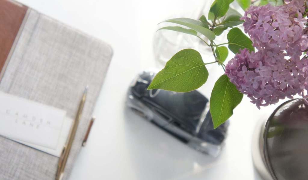 A spring of lilac beside our interior design's inspiration journal